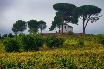 El Bierzo-streek